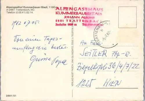 47119 - Niederösterreich - Trattenbach , Alpengasthof , Gasthof , Kummerbauer Stadl - gelaufen 1982