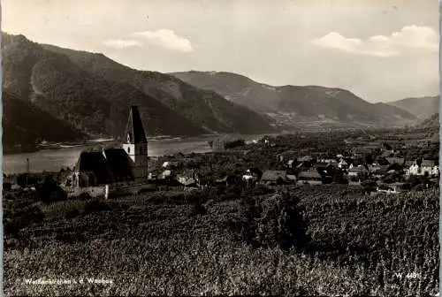 47159 - Niederösterreich - Wachau , Weissenkirchen i. d. Wachau , Panorama - gelaufen 1972