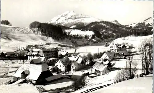 47166 - Niederösterreich - Wienerbruck , mit dem Ötscher , Panorama - gelaufen 1969