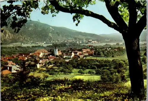 47236 - Niederösterreich - Rossatz , in der Wachau , Panorama - gelaufen 1963