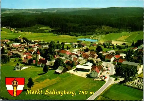 47238 - Niederösterreich - Sallingberg , Markt Sallingberg , Panorama , Waldviertel - gelaufen