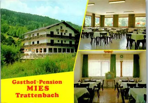 47248 - Niederösterreich - Trattenbach , Gasthof Pension Mies , Karl Mies - gelaufen 1983