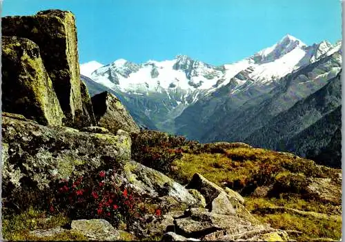47269 - Tirol - Mayrhofen , Ahornbahn , Zillertal , Blick in die Stillupp auf Keilbachspitze u. Gr. Löffler - gel. 1971