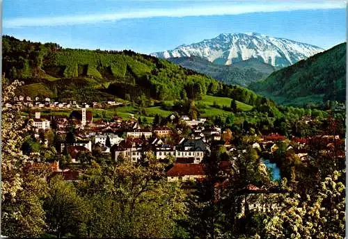 47289 - Niederösterreich - Scheibbs , mit Ötscher , Panorama - gelaufen