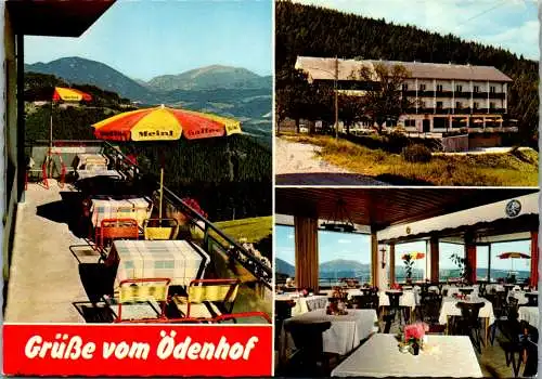 47294 - Niederösterreich - St. Corona am Wechsel , Gasthof Ödenhof , W. u. L. Gruber, Terrasse - nicht gelaufen