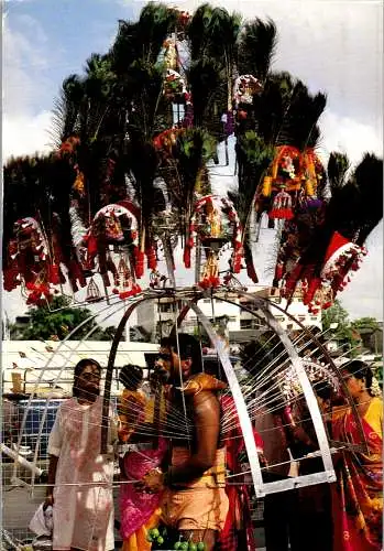 47406 - Völker und Kulturen - Singapore , Singapur , Kevada carrying Devotee , Hindu during Thaipusan procession