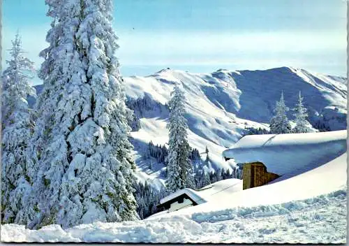 47494 - Tirol - Kitzbühel , Hahnenkamm , Blick auf Steinbergkogel und Griesalm Hänge - gelaufen 1971