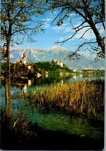 47637 - Slowenien - Bled , Panorama - gelaufen 1983