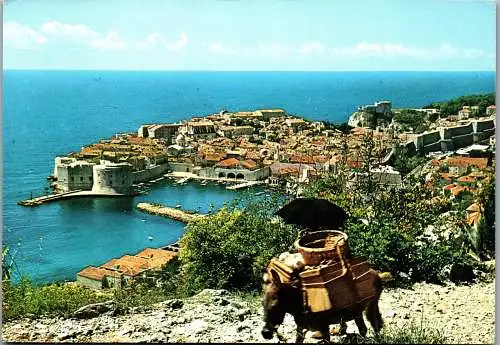 47758 - Kroatien - Dubrovnik , Panorama , Esel - gelaufen 1965