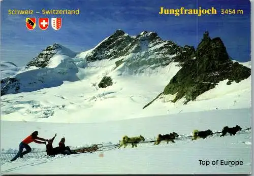 47940 - Schweiz - Jungfraujoch , Hundeschlitten - gelaufen 1992