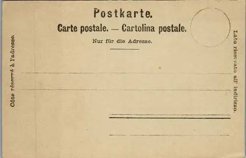 47954 - Schweiz - Lausanne , Le Chateau - nicht gelaufen