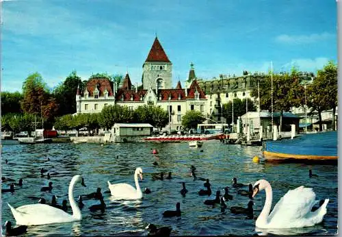 47955 - Schweiz - Lausanne Ouchy , Le Chateau et les cygnes , Schwäne , Schwan - gelaufen 1979