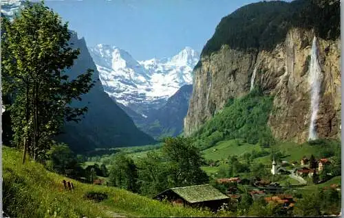 47959 - Schweiz - Lauterbrunnen , Großhorn , Breithorn , Wasserfall - gelaufen 1964