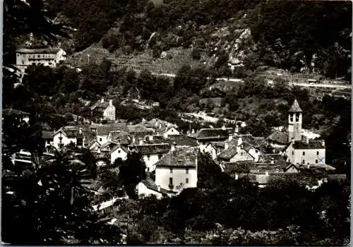 47967 - Schweiz - Centovalli , Golino , Panorama - gelaufen 1967