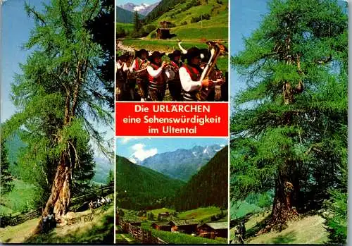 47997 - Italien - St. Gertraud , Ultental , Die Urlärchen , Mehrbildkarte - gelaufen 1984