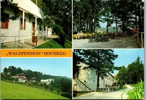 48097 - Niederösterreich - Hochegg , Grimmenstein , Waldpension Hochegg - gelaufen 1982