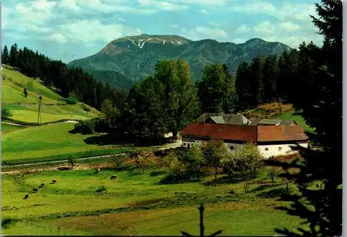 48125 - Niederösterreich - Rohr im Gebirge , Gasthof Kalte Kuchl mit Blick auf Schneeberg - gelaufen 1984