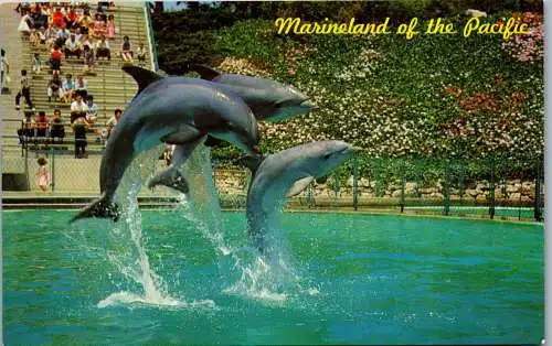 48158 - USA - Marineland , Leaping Dolphin Trio , Marineland of the Pacific - nicht gelaufen