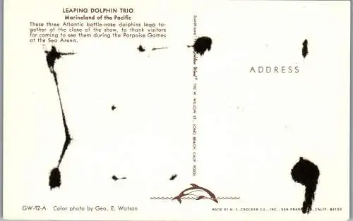 48158 - USA - Marineland , Leaping Dolphin Trio , Marineland of the Pacific - nicht gelaufen