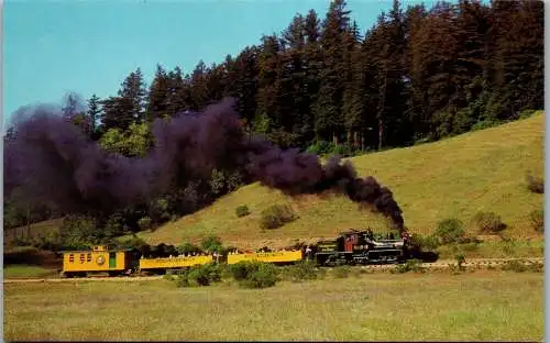 48164 - USA - Felton , Roaring Camp , Railroad , Dampflokomotive , California - nicht gelaufen