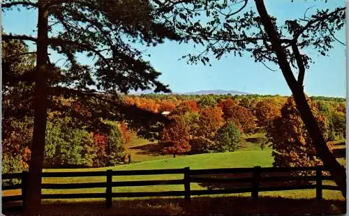 48195 - USA - Albemarle County , Countryside Scene , Virginia - nicht gelaufen