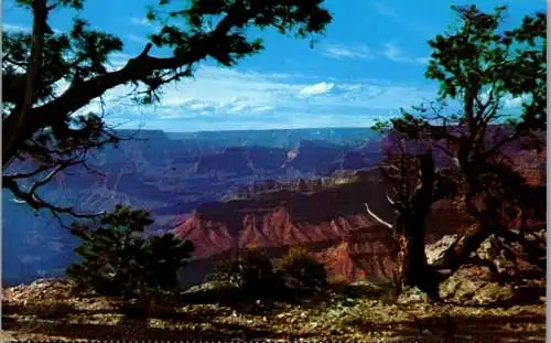 48217 - USA - Grand Canyon , National Park , Arizona - nicht gelaufen
