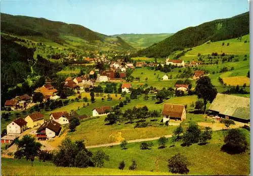 48295 - Deutschland - Simonswäldertal , Schwarzwald , Panorama - gelaufen 1993