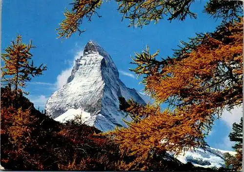 48313 - Schweiz - Zermatt , Matterhorn - gelaufen 1971