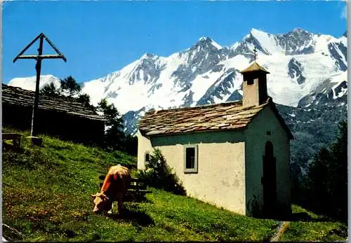 48317 - Schweiz - Triftalp , Saastal , Alphubel , Tätschhorn , Dom , Südlenz , Nadelhorn  - gelaufen 1973