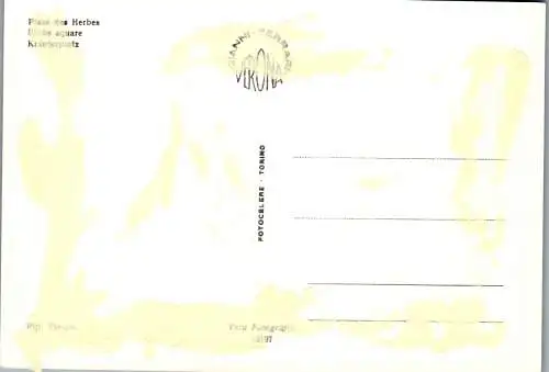 48373 - Italien - Verona , Piazza Erbe - nicht gelaufen