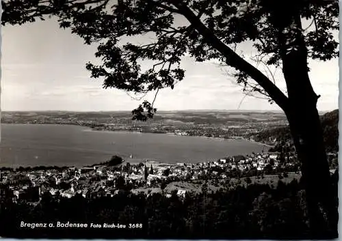 48551 - Vorarlberg - Bregenz , Bodensee , Panorama - nicht gelaufen