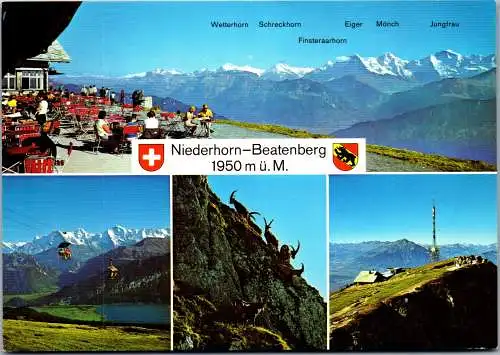 48600 - Schweiz - Niederhorn , Beatenberg , Berghaus , Sesselbahn , Steinwild , Niesen - gelaufen 1993