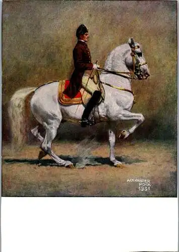 48622 - Künstlerkarte - Alexander Pock , signiert , Piaffe , Spanische Reitschule Wien - nicht gelaufen