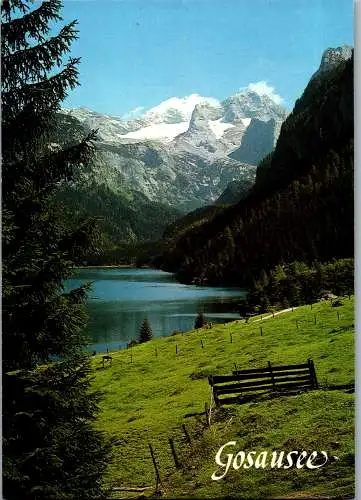 48715 - Oberösterreich - Gosausee , mit Dachstein - nicht gelaufen