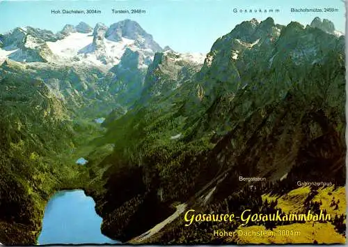 48719 - Oberösterreich - Gosausee , Gosaukammbahn , Hoher Dachstein , Torstein , Bischofsmütze - gelaufen 1982