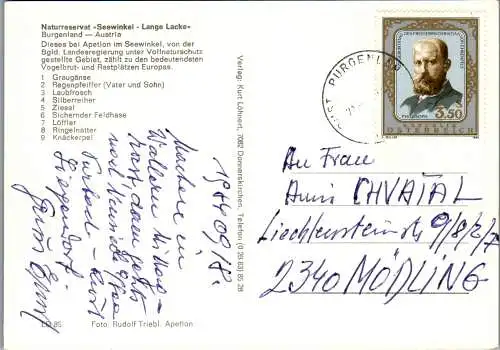 48902 - Burgenland - Seewinkel , Naturreservat Lange Lacke  - gelaufen 1984