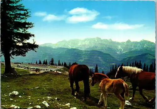 48918 - Kärnten - Villacher Alpe , Parkplatz Roßtratte mit Blick auf die Julischen Alpen - gelaufen 1968