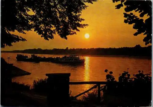 48925 - Niederösterreich - Donau , Abendstimmung an der Donau , Sonnenuntergang - gelaufen 1981