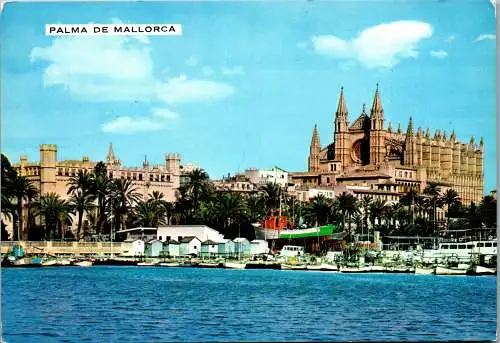 49058 - Spanien - Mallorca , Palma de Mallorca , Catedral y Lonja - gelaufen