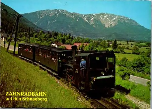 49142 - Niederösterreich - Schneeberg , Zahnradbahn auf den Schneeberg , Puchberg - gelaufen 1983