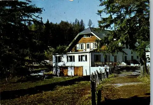 49149 - Niederösterreich - Gutenstein , Berggasthof , Gasthof Mamauwiese , Friedrich Wilsch - nicht gelaufen