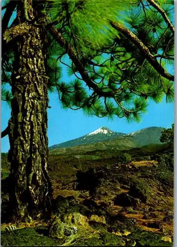 49183 - Spanien - Teneriffa , Paisaje con el Teile al fondo - gelaufen