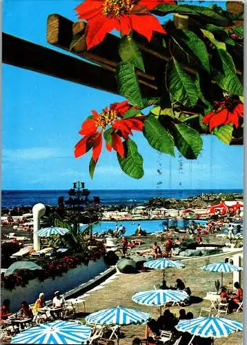 49186 - Spanien - Teneriffa , Puerto de la Cruz - gelaufen