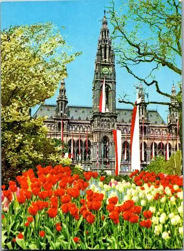 49345 - Wien - Rathaus , View - nicht gelaufen