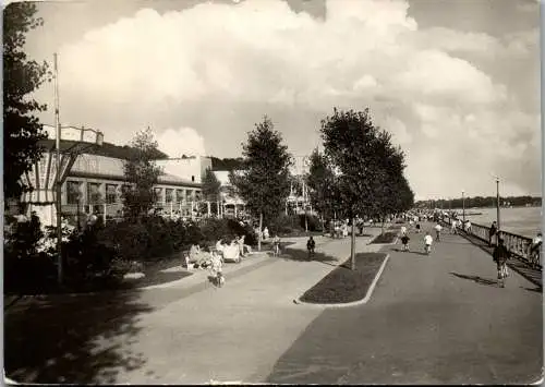 49352 - Slowakei - Bratislava , Park kultury a oddychu , Promenada - gelaufen