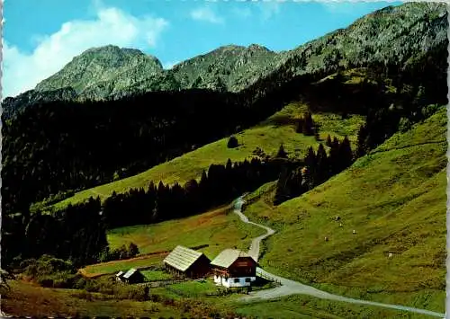 49418 - Kärnten - Möselalm , mit Reißkofel - gelaufen