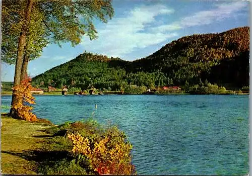 49450 - Kärnten - Klopeinersee , Panorama - gelaufen 1964