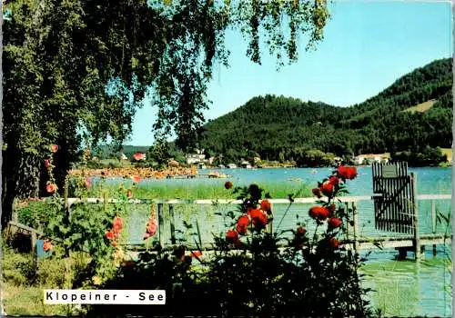 49452 - Kärnten - Klopeinersee , Nördliches Seeufer mit Georgiberg - gelaufen 1970