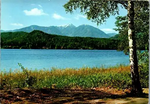 49466 - Kärnten - Klopeinersee , Panorama - gelaufen 1969