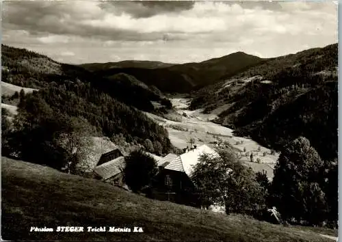 49576 - Kärnten - Metnitz , Teichl , Pension Steger - gelaufen 1972